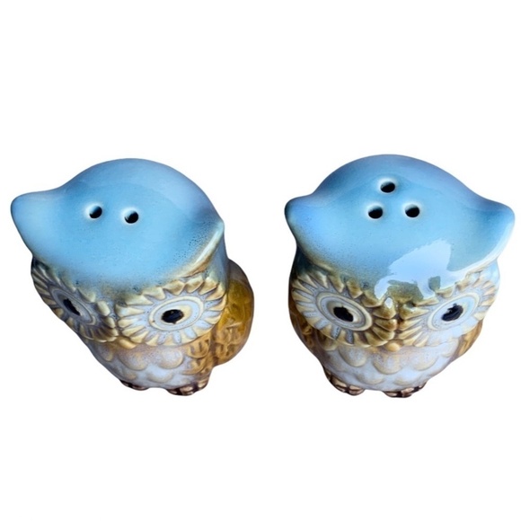 Blue Owl Salt and Pepper Shaker Set Glazed Ceramic Owl Decor 2 Piece Set - Picture 5 of 14